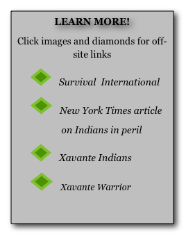 LEARN MORE!  
Click images and diamonds for off-site links
       ￼   Survival  International         
       ￼   New York Times article          
                    on Indians in peril
       ￼   Xavante Indians
       ￼   Xavante Warrior