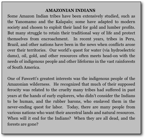                                     AMAZONIAN INDIANS
Some Amazon Indian tribes have been extensively studied, such as the Yanomamo and the Kalapalo; some have adapted to modern society and chosen to exploit their land for gold and lumber profits.  But many struggle to retain their traditional way of life and protect themselves from encroachment.  In recent years, tribes in Peru, Brazil, and other nations have been in the news when conflicts arose over their territories.  Our world’s quest for water (via hydroelectric dams), oil, gold, and other resources often meets head-on with the needs of indigenous people and other lifeforms in the vast rainforests of South America.

One of Fawcett’s greatest interests was the indigenous people of the Amazonian wilderness.  He recognized that much of their supposed ferocity was related to the cruelty many tribes had suffered in past years at the hands of early explorers, who didn’t consider the Indians to be human, and the rubber barons, who enslaved them in the never-ending quest for labor.  Today, there are many people from various nations who want their ancestral lands and natural resources.  When will it end for the Indians?  When they are all dead, and the forests are gone? 










