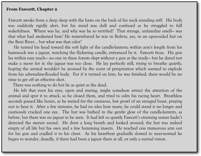 From Fawcett, Chapter 2
    
Fawcett awoke from a deep sleep with the hairs on the back of his neck standing stiff.  His body was suddenly rigidly alert, but his mind was dull and confused as he struggled to full wakefulness.  Where was he, and why was he so terrified?  That strange, unfamiliar smell— was that what had awakened him? He remembered he was in Bolivia, yes, in an open-sided hut on the Beni River... but what was that odor?  
    He turned his head toward the soft light of the candle-lantern; within arm's length from his hammock was a jaguar, watching the flickering candle, entranced by it.  Fawcett froze.  His gun lay within easy reach— no one in these forests slept without a gun at the ready— but he dared not make a move for it; the jaguar was too close.  He lay perfectly still, trying to breathe quietly, hoping the animal wouldn't be aroused by the scent of perspiration which seemed to explode from his adrenaline-flooded body.  For if it turned on him, he was finished; there would be no time to get off an effective shot.  
    There was nothing to do but lie as quiet as the dead.  
   He felt that even his eyes, open and staring, might somehow attract the attention of the animal and spur it to attack, so he closed them, and tried to calm his racing heart.  Breathless seconds passed like hours, as he waited for the ominous, low growl of an enraged beast, praying not to hear it.  After a few minutes, he had no idea how many, he could stand it no longer and cautiously cracked one eye.  The hut was bathed in the gentle glow of the candle-lantern, as before, but there was no jaguar to be seen.  It had left so quietly Fawcett’s straining senses hadn’t detected the merest sound.  He drew a long breath and looked around; the hut was indeed empty of all life but his own and a few humming insects.  He reached one tremorous arm out for his gun and cradled it to his chest.  As his heartbeat gradually slowed to near-normal he began to wonder, dazedly, if there had been a jaguar there at all, or only a surreal vision.
